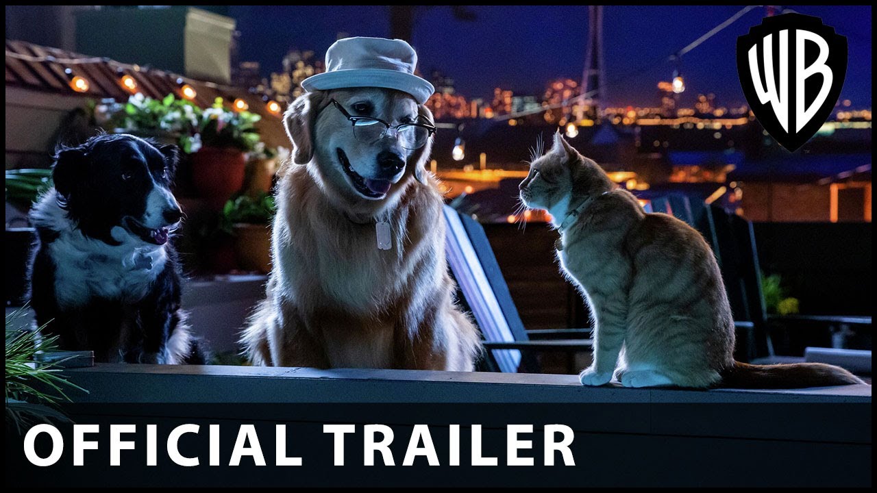 Cats & Dogs 3 Paws Unite! Official Trailer Warner Bros. UK