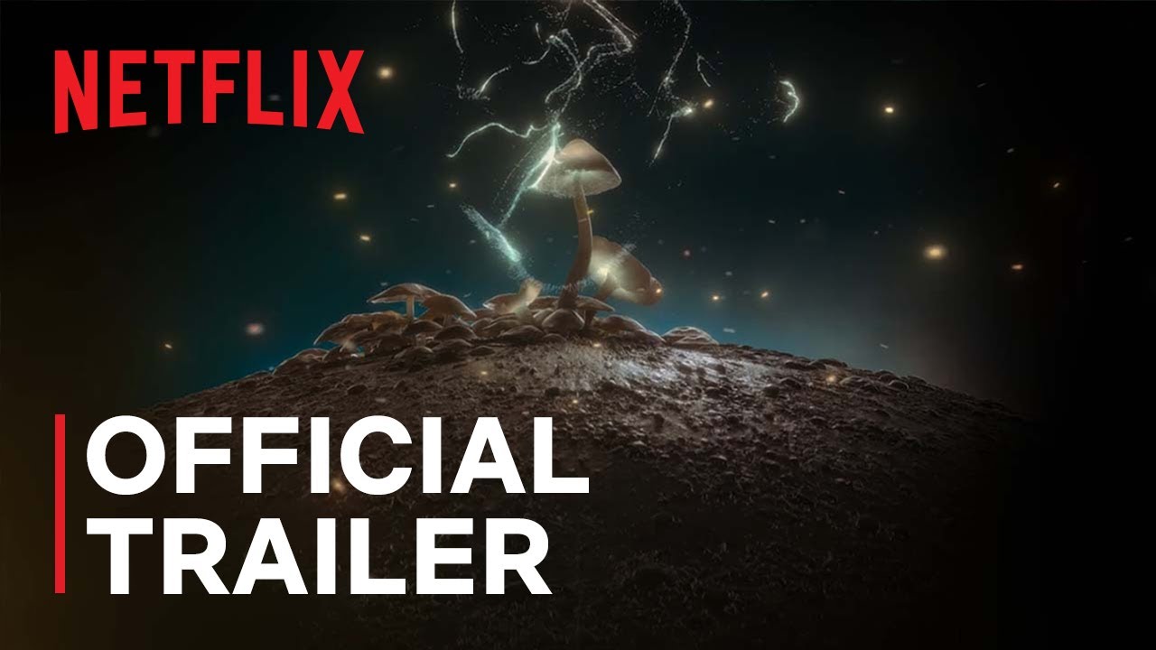 How to Change Your Mind | Official Trailer | Netflix – Phase9 Entertainment